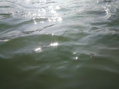 -西涌国际滨海旅游区