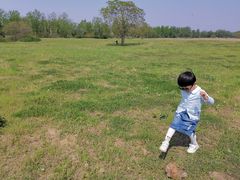 -汉长安城未央宫国家考古遗址公园