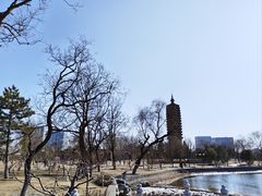 -西海子公园