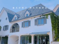 -大塘金香草谷