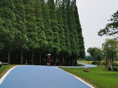 -宜兴龙背山森林公园