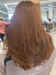 -潘多拉Hairsalon