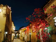 -西涌国际滨海旅游区