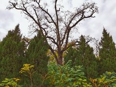 -汉长安城未央宫国家考古遗址公园