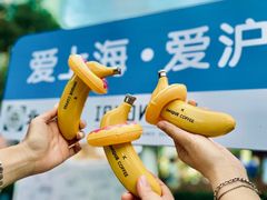 -陆家嘴中心绿地