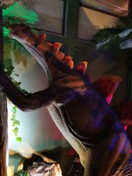 -恐龙探索乐园(磁器口店)