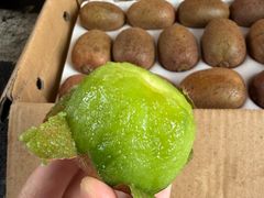 -北国商城