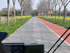 -上海长兴岛郊野公园
