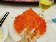 -欢乐海岸美食联盟