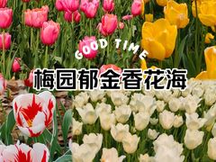 -无锡梅园公园
