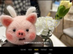 -PAUL LAFAYET 法式甜品(深圳湾万象城店)