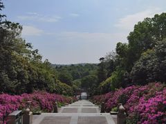 -宜兴龙背山森林公园