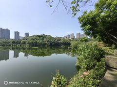 -重庆彩云湖湿地公园