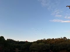 -广州莲花山旅游区