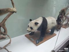 -国家自然博物馆