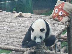 -大连森林动物园