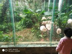 -火烈鸟餐厅