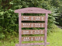 -五营红松林海景区