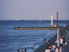 -莆鑫海鲜城(浏河店)