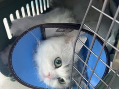 -联合动物医院(光谷诊疗中心)