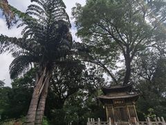 -昆明市金殿名胜区