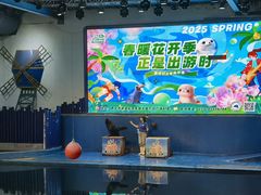 -太奥幻太奇海洋馆