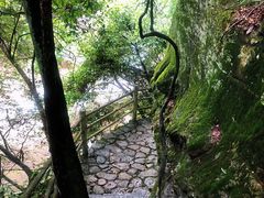 -浙西大龙湾