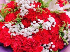-怡花宜木鲜花店(朝阳路店)