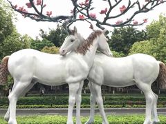 -厦门日月谷温泉渡假村