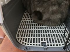 -联合动物医院(光谷诊疗中心)