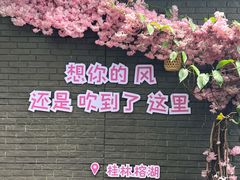 -桂林市榕杉湖景区