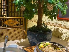 -云来居素食馆(南山店)
