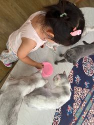 -萌宠亲子动物乐园(槐房万达店)