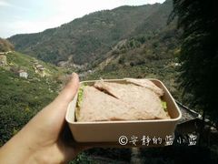 -东白山