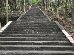 -窦圌山风景区