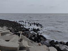 -东堤公园