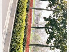 -长田漾湿地公园