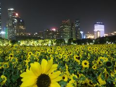 -茶理宜世(花城汇中区店)