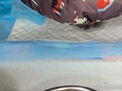-瑞派宠物医院东莞中心医院·24H转诊·异宠(新河北路院)