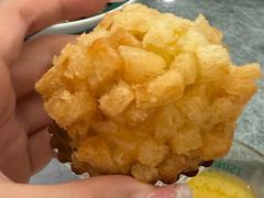 -丁老爷子苏香圆