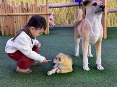 -中国农业博物馆