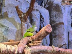 -正佳雨林生态植物园