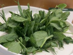 -烹然四季椰子鸡火锅(姚家园万象汇店)