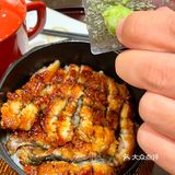 ‼️求求你一定要去他家吃鳗鱼饭 | 好吃死了。
