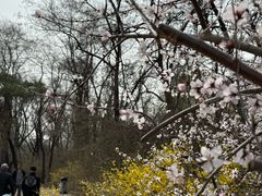 -沈阳植物园