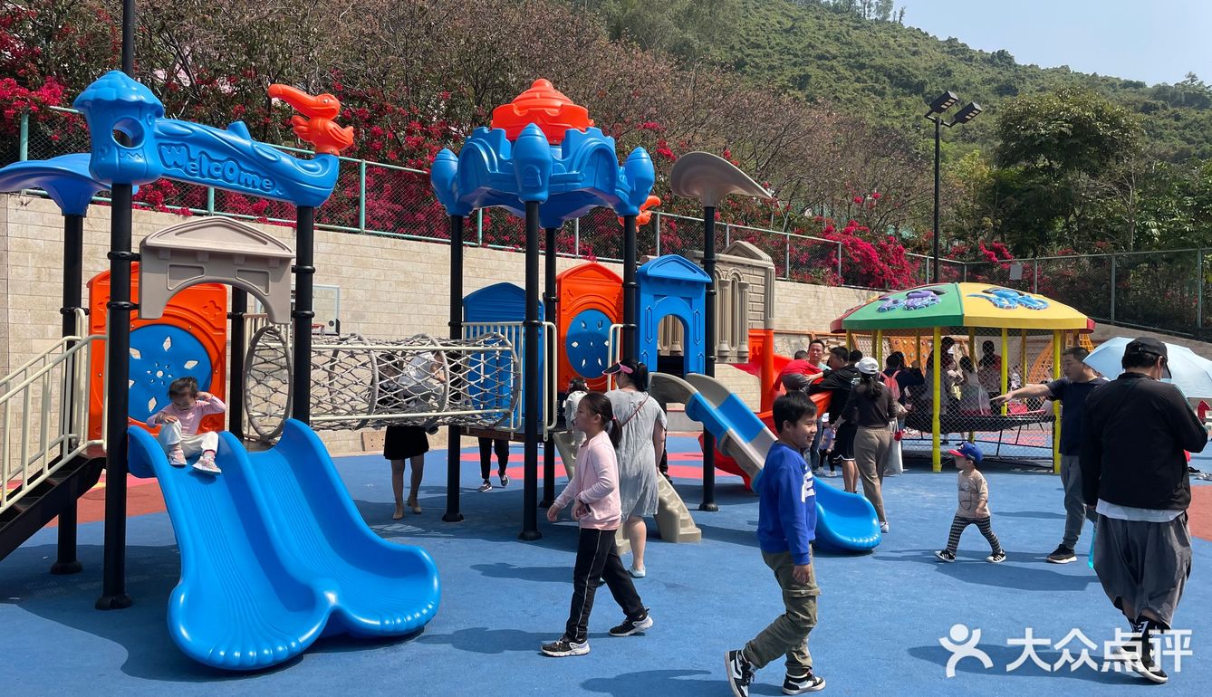 樱花已谢，游乐园永存
