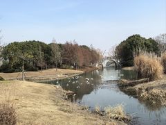 -尚贤河湿地
