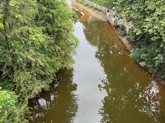 -广州市帽峰山景区