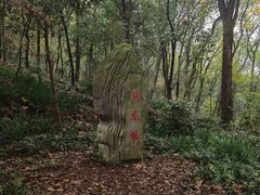 -上海佘山国家森林公园天马山园