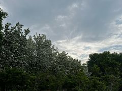 -泰丰公园